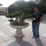 Fady harb